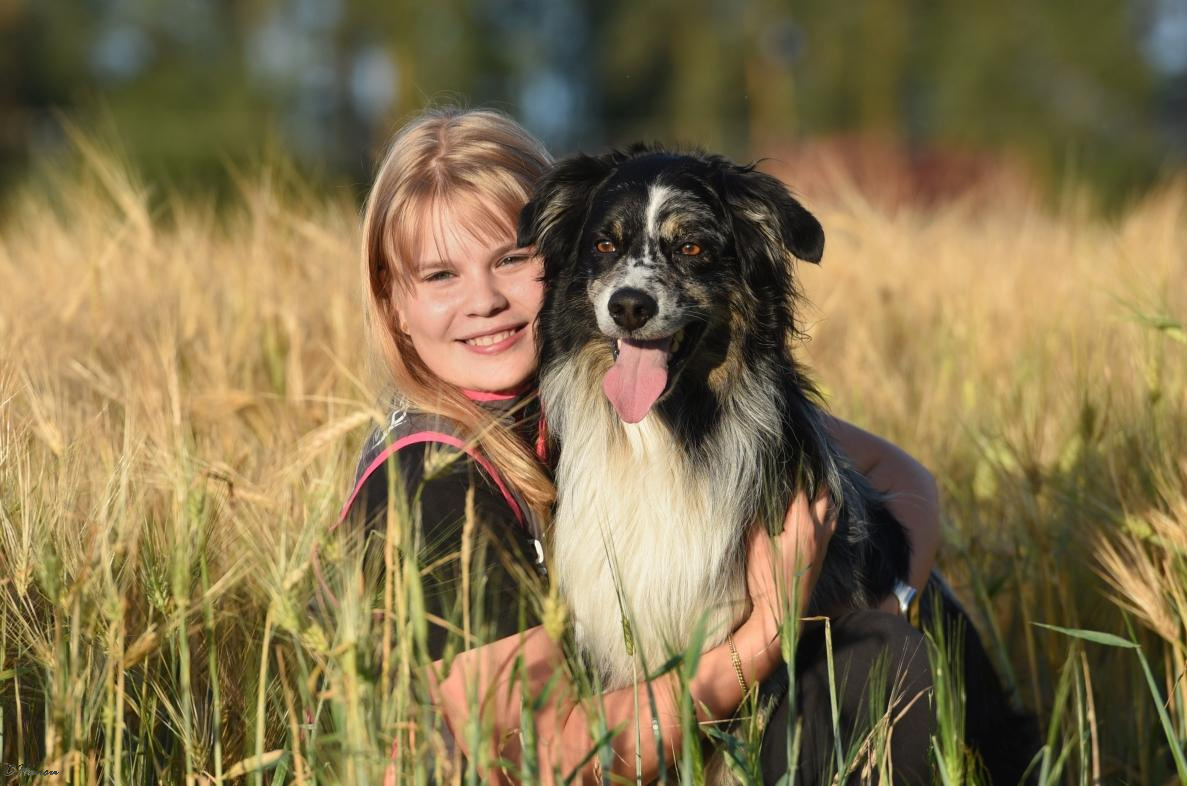 Kuvassa tyttö halaa koiraa pellolla