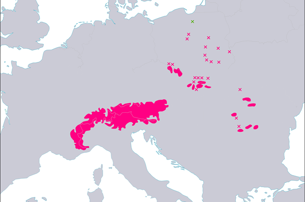 Euroopanlehtikuusen levinneisyysalue