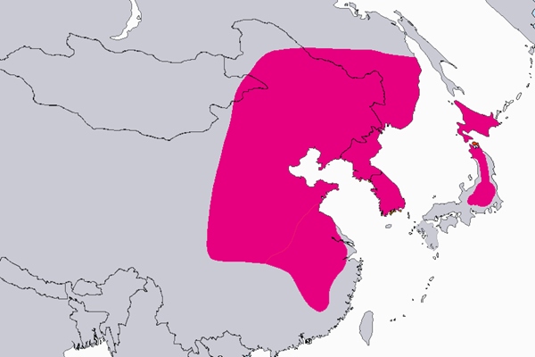 Mongolianvaahtera_kartta Mongolianvaahteran levinneisyysalue