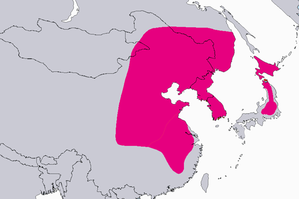 Mongolianvaahteran levinneisyysalue