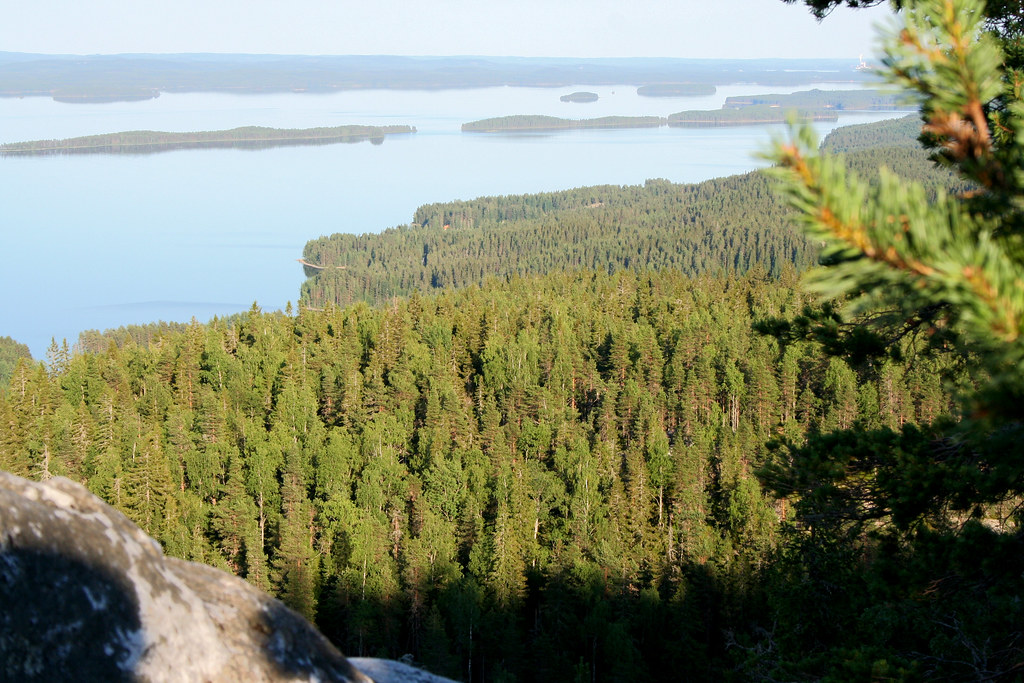 Maisemakuva Kolilta