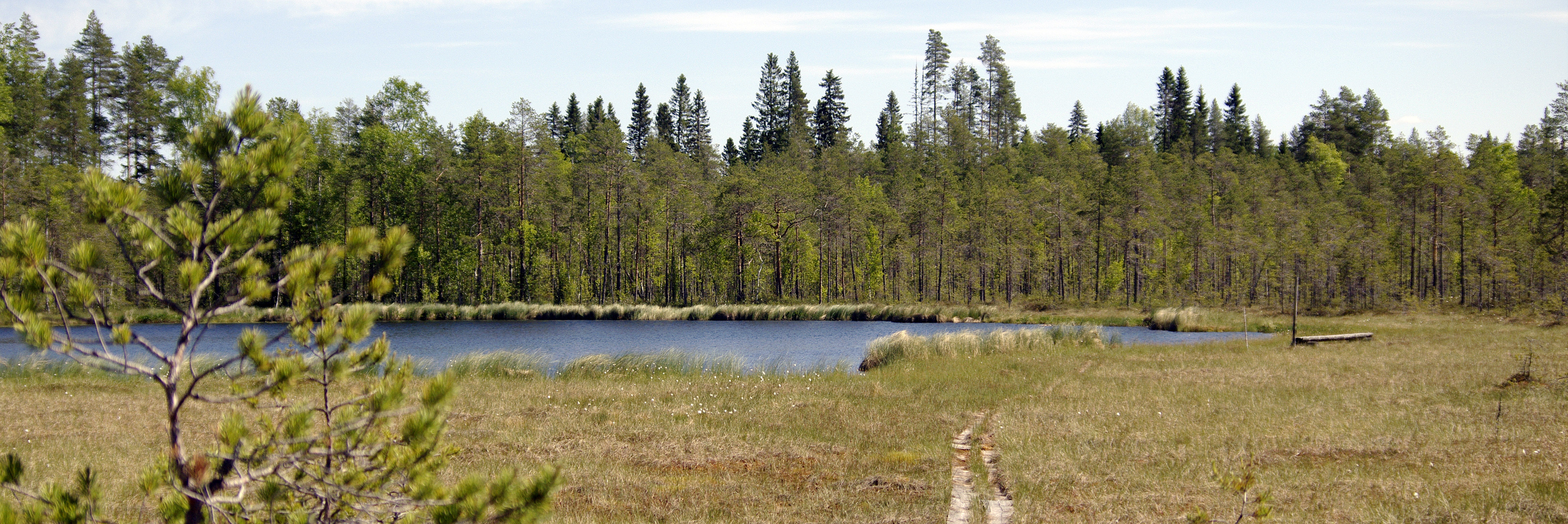 Suolampi ja rannassa kulkevat pitkospuut