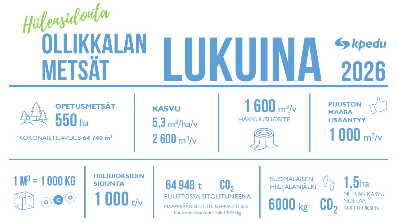 Hiilensidonnan tunnuslukuja Kannuksen opetusmetsistä