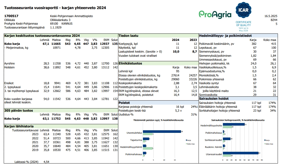 vuosiraportti 2024 vuosiraportti 2024