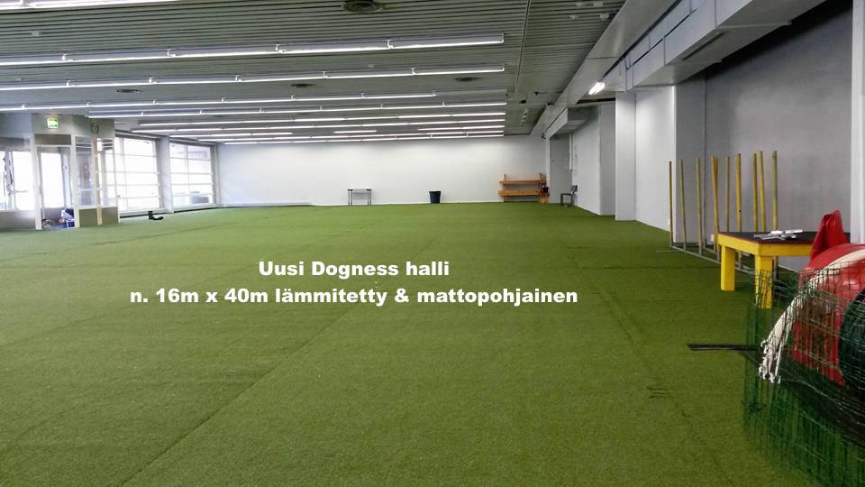 Kuvassa kuva Dogness-hallin sisältä. Hallissa tekonurmi ja koirien agilityvälineistöä.