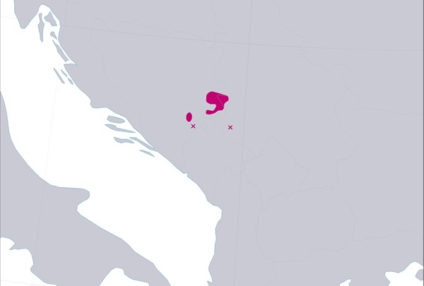Serbiankuusi_kartta Kartta serbiankuusen levinneisyydestä