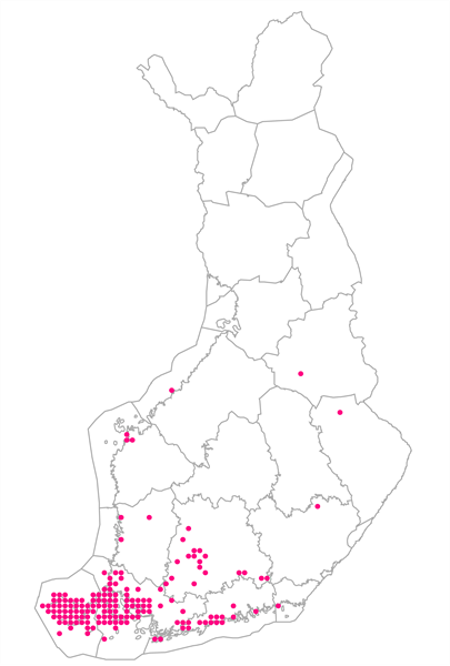 Suomenpihlaja_kartta Suomenpihlajan levinneisyys