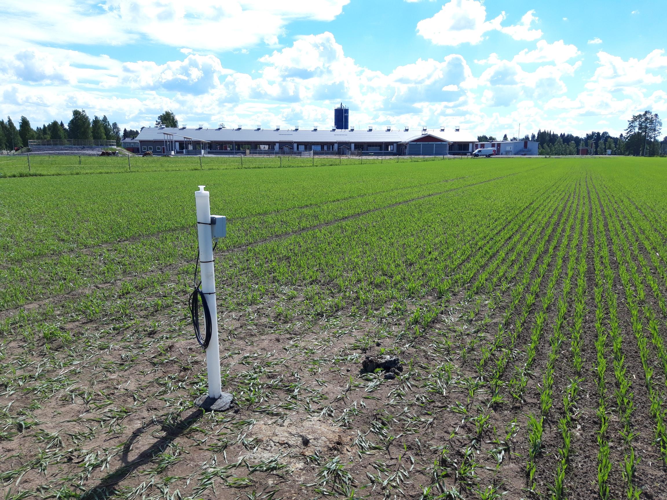 Pohjaveden mittauspiste