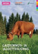 Laisunnus- ja jaloitteluopas -kansi